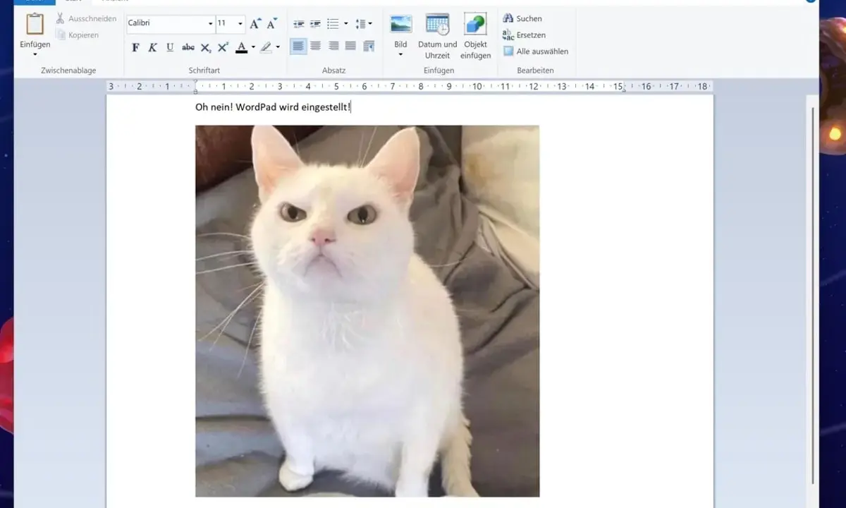 Ein wütendes weißes Kätzchen blickt aus einem Dokument in WordPad unter Windows 11.