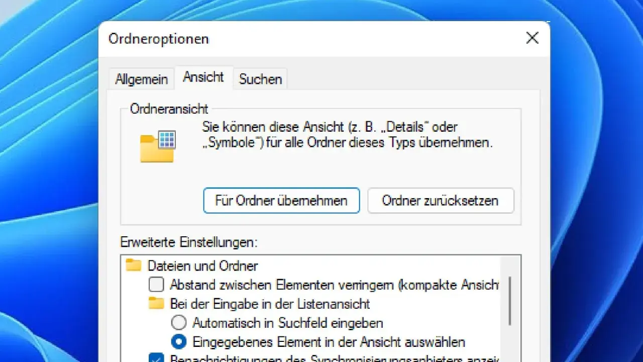Fenster "Ordneroptionen" in Windows 11. Hier werden die Ansichtseinstellungen für Ordner verwaltet, z.B. ob Details oder Symbole angezeigt werden.
