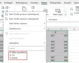 Excel-Filtermenü mit Optionen wie "Nach Größe sortieren", "Nach Farbe filtern" und "Zahlenfilter". Die Auswahl "(Leere)" ist markiert, was darauf hindeutet, dass die Tabelle leer ist.