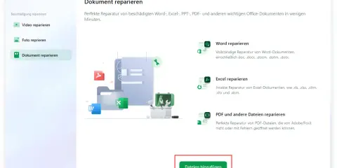 Dokumentenreparatur-Software. Repariert Word, Excel und PDF. Ideal, wenn Sie Probleme haben, Ihre Excel-Dateien zu öffnen.
