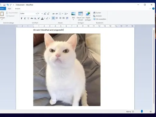 Ein wütendes weißes Kätzchen blickt aus einem Dokument in WordPad unter Windows 11.