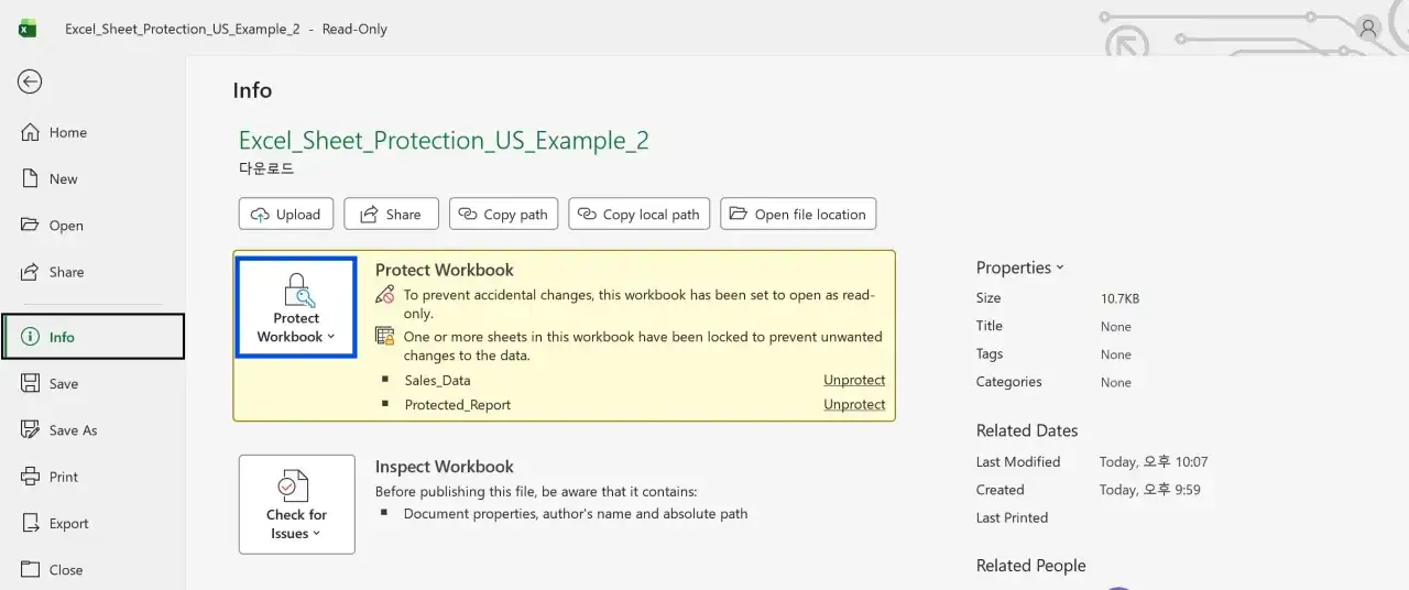 Excel-Info-Ansicht zeigt, dass die Arbeitsmappe gesch&uuml;tzt ist. Hier kann man den excel blattschutz aufheben.
