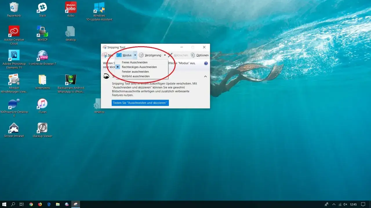 Das Snipping Tool in Windows zeigt Optionen zum